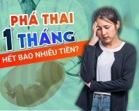 Chi Phí Phá Thai 1 Tháng Tuổi Ở Nghệ An Hết Bao Nhiêu Tiền?